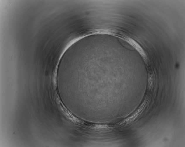 X0000100851052200806271131