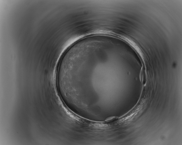 X0000100851053200806271131