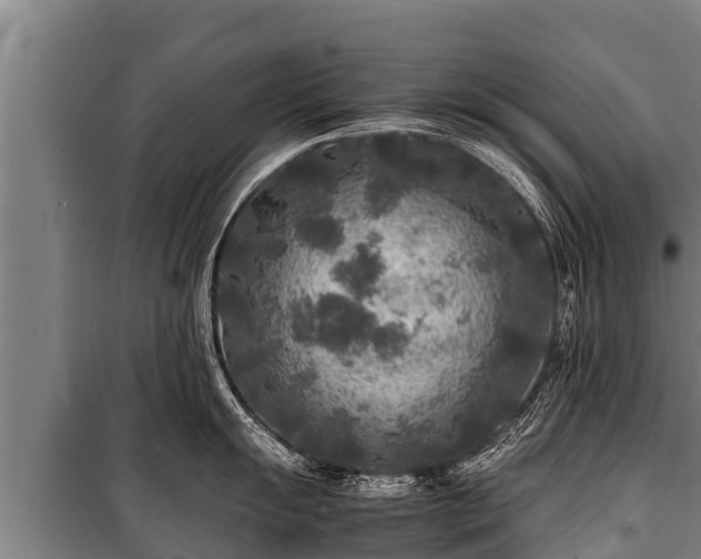 X0000100851055200806271131