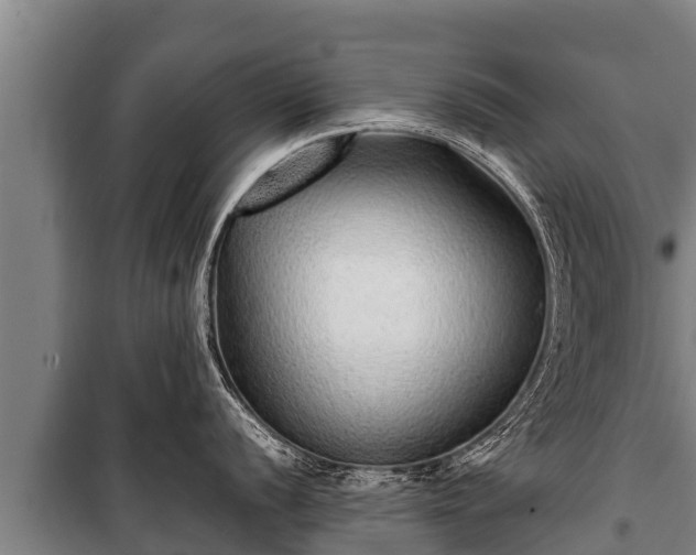 X0000100851056200806271131