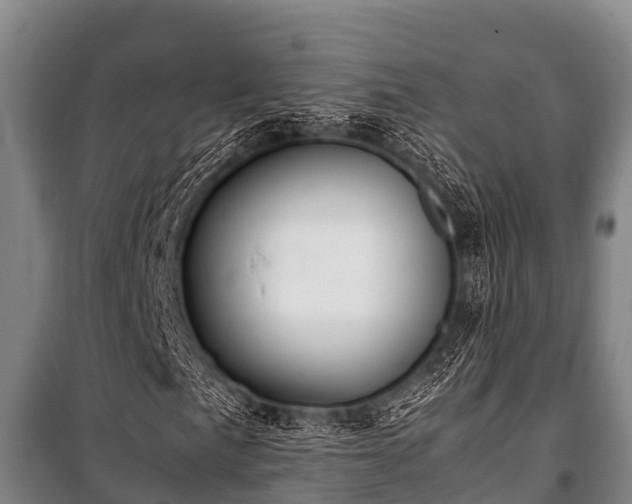 X0000100851057200806271130