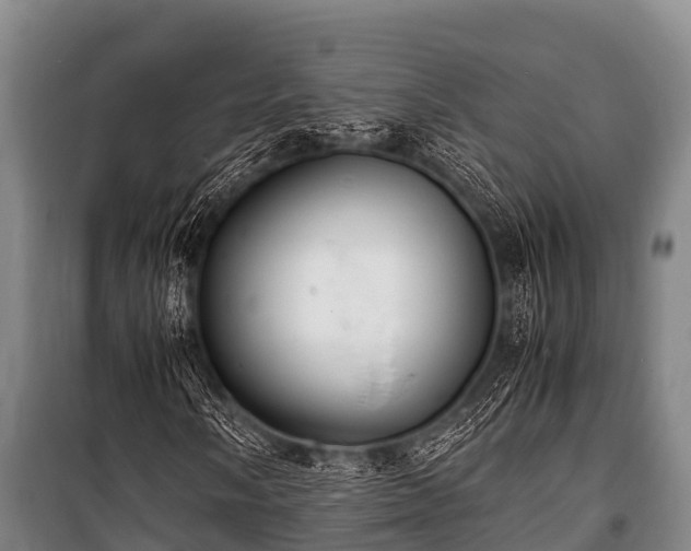 X0000100851058200806271130
