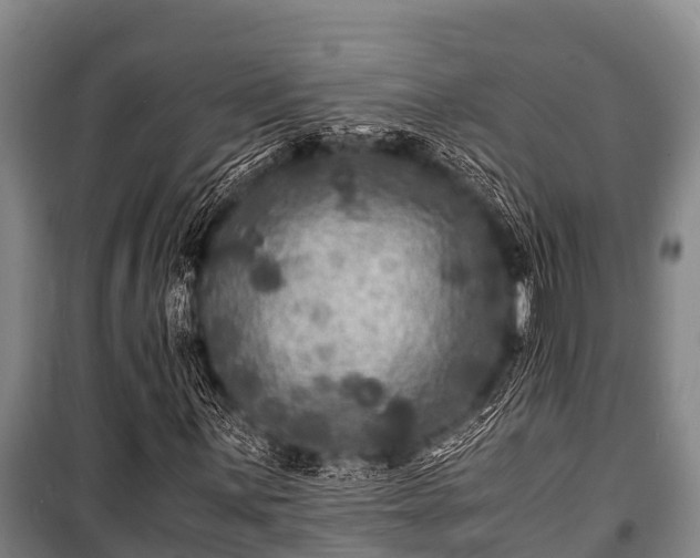 X0000100851059200806271130
