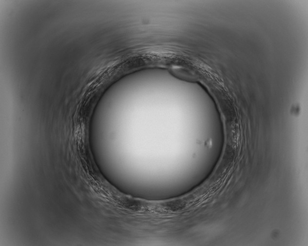 X0000100851061200806271130