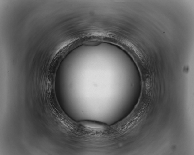 X0000100851064200806271130