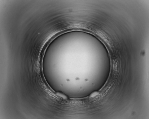 X0000100851068200806271130