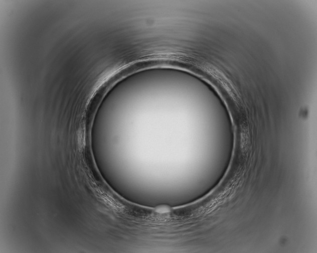 X0000100851069200806271130