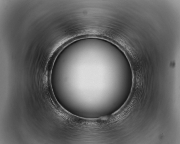 X0000100851070200806271130