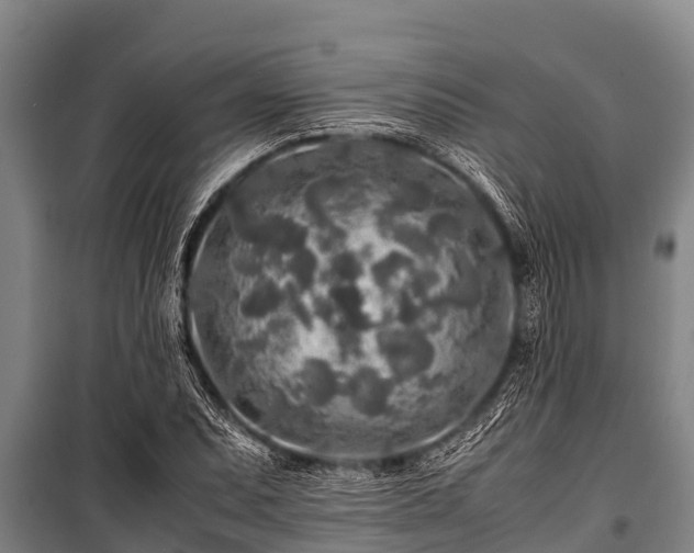 X0000100851071200806271130