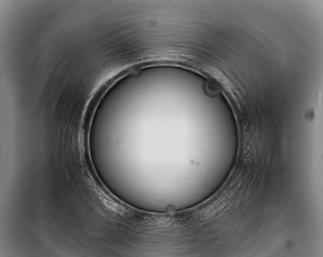 X0000100851072200806271130