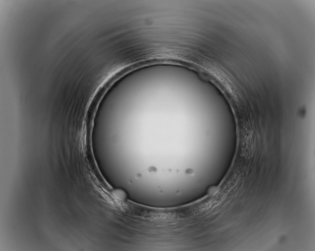 X0000100851076200806271130