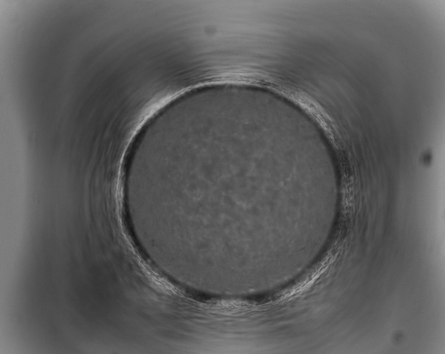 X0000100851077200806271130