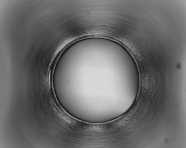 X0000100851078200806271130