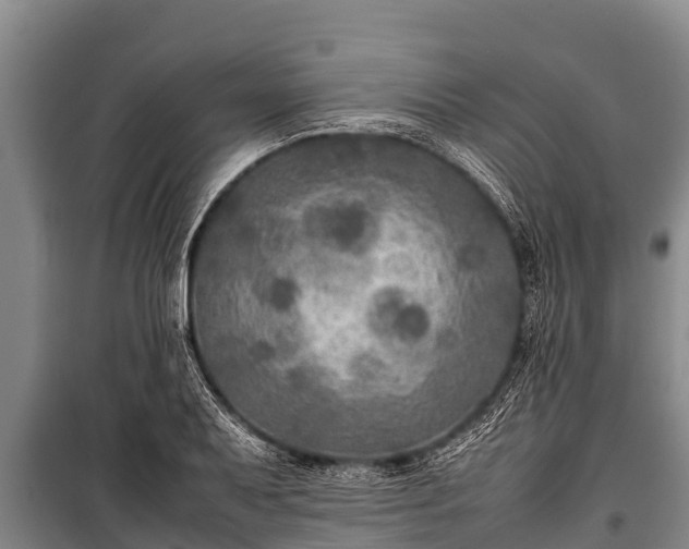 X0000100851079200806271130
