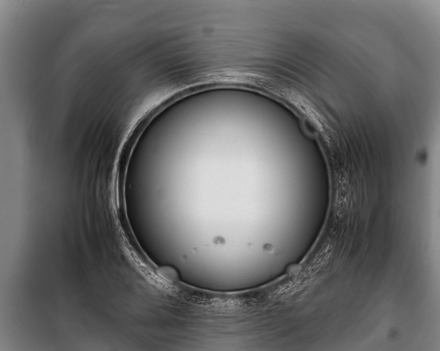 X0000100851080200806271130