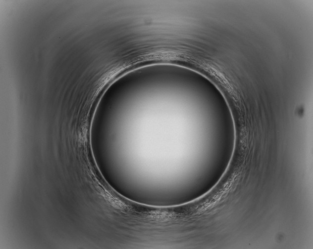 X0000100851081200806271130