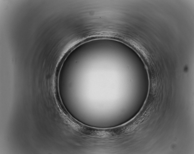 X0000100851085200806271130