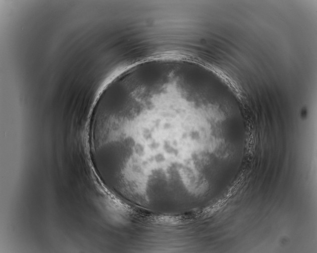 X0000100851086200806271130