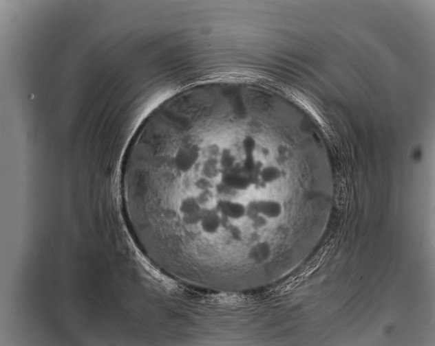 X0000100851087200806271130