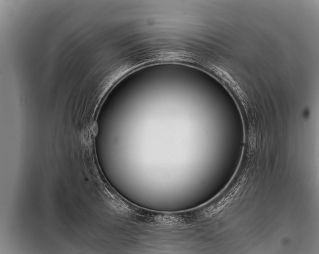 X0000100851089200806271130
