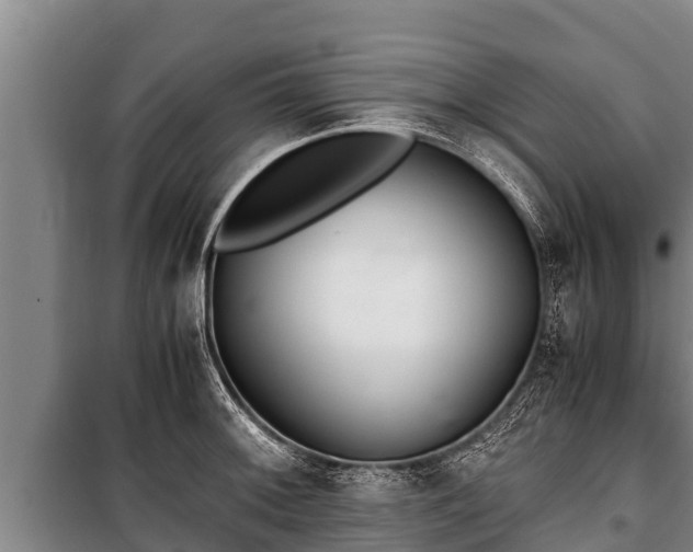 X0000100851092200806271130