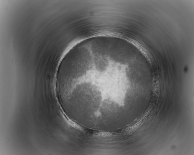 X0000100851094200806271130