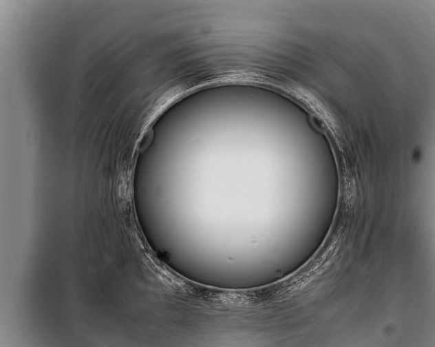X0000100851097200806271130