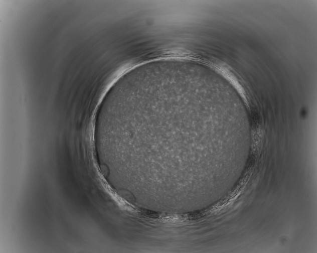 X0000100851099200806271130
