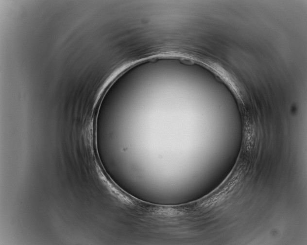 X0000100851100200806271130