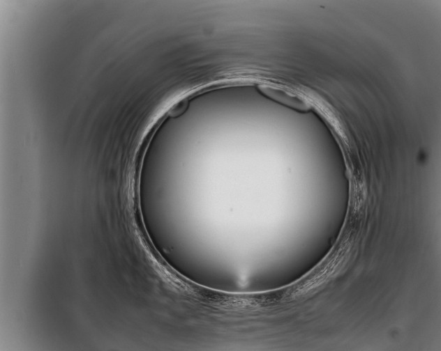 X0000100851101200806271130