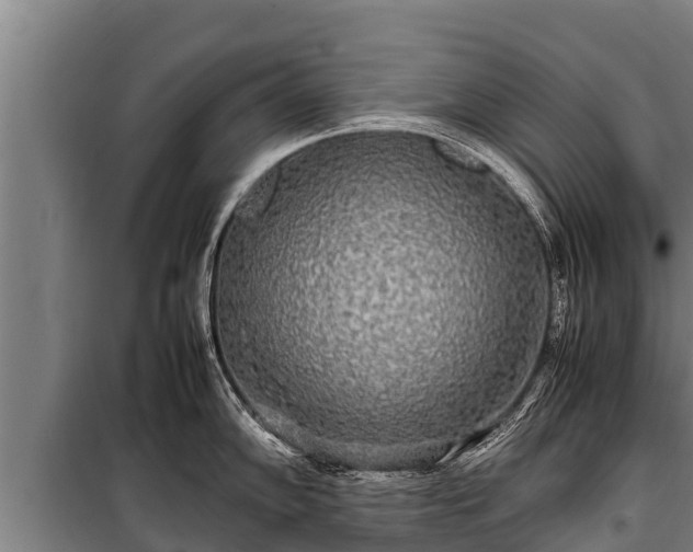 X0000100851102200806271130