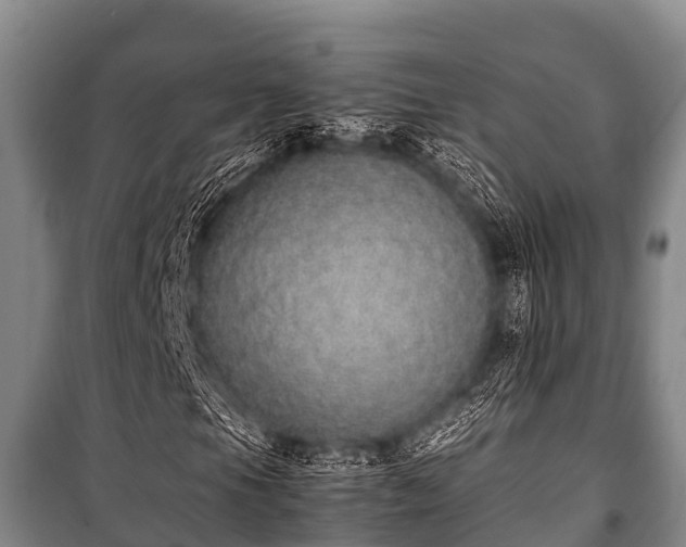 X0000100851105200806271129
