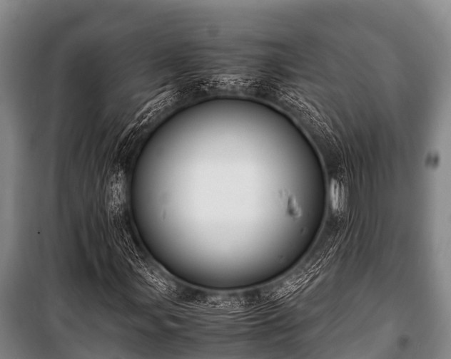 X0000100851107200806271129