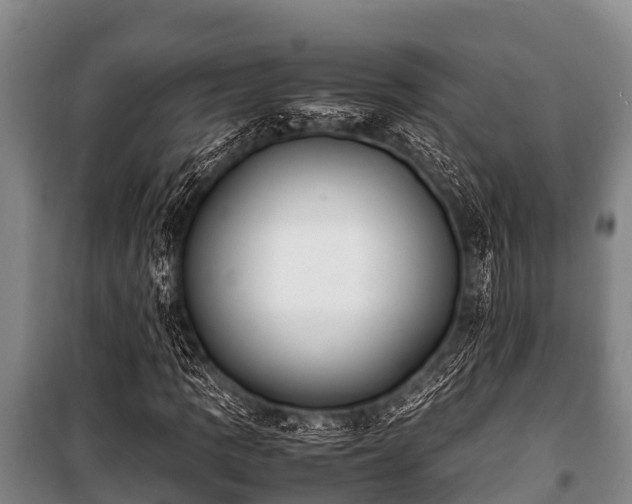 X0000100851109200806271129