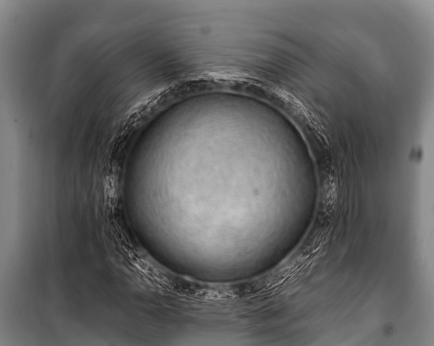 X0000100851110200806271129
