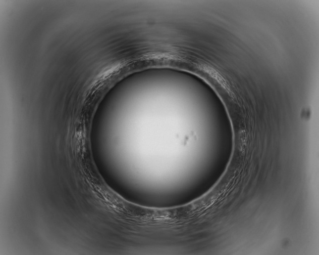 X0000100851111200806271129