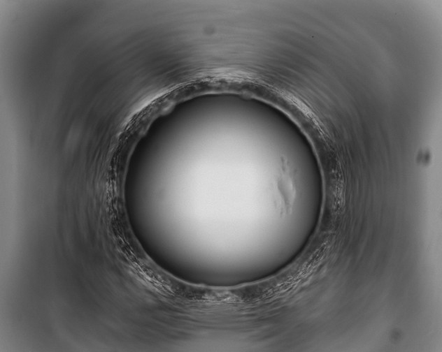 X0000100851112200806271129