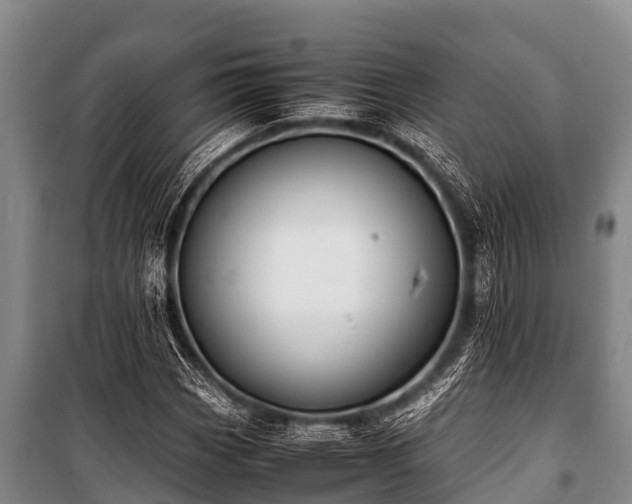 X0000100851113200806271129