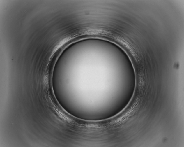 X0000100851114200806271129