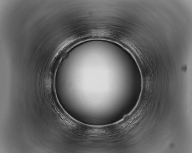 X0000100851115200806271129