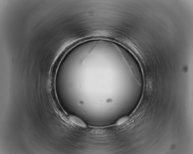 X0000100851116200806271129