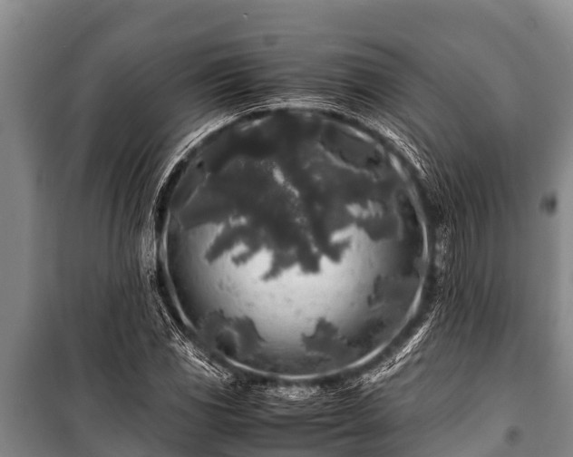 X0000100851117200806271129