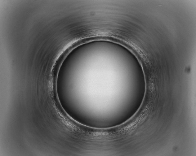 X0000100851118200806271129