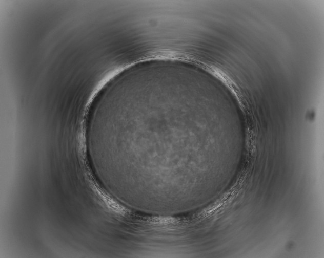 X0000100851120200806271129