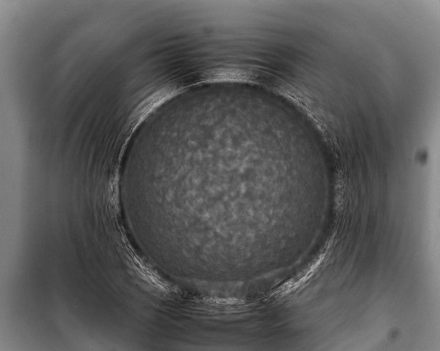 X0000100851121200806271129