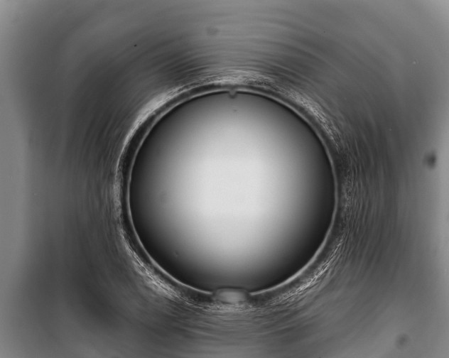 X0000100851122200806271129