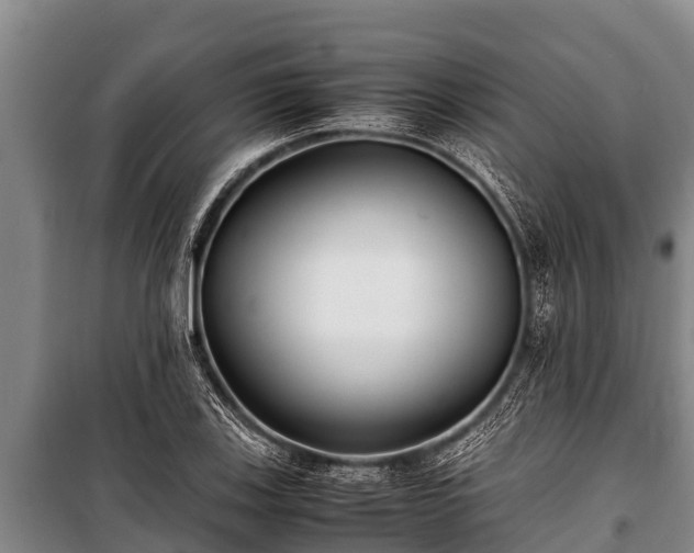 X0000100851123200806271129