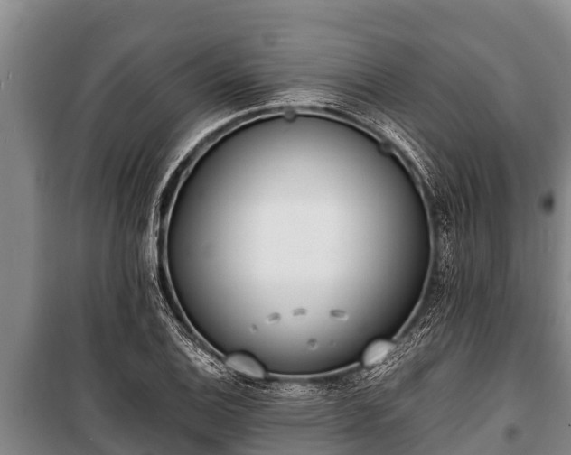 X0000100851124200806271129