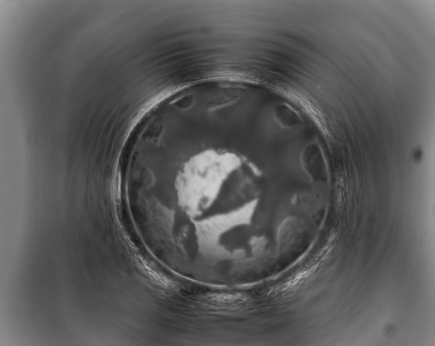 X0000100851125200806271129