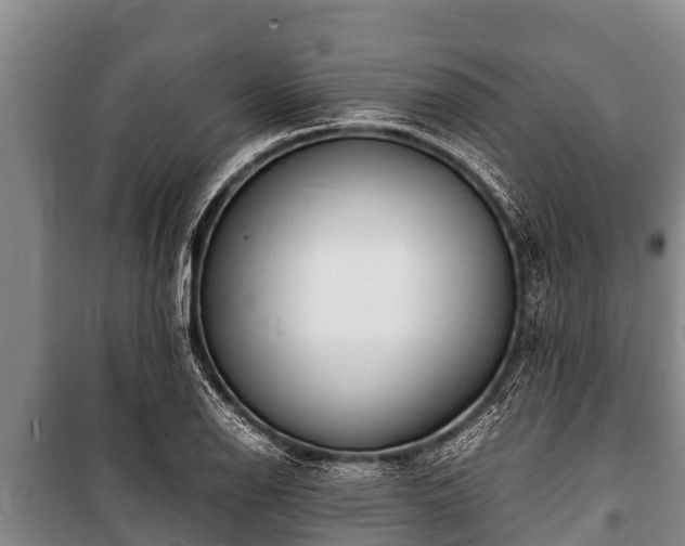 X0000100851126200806271129